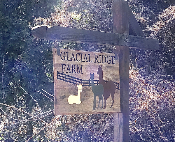 Glacial Ridge Farm